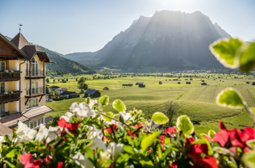 Sonnenschein über Berg mit Blumen im Vordergrund