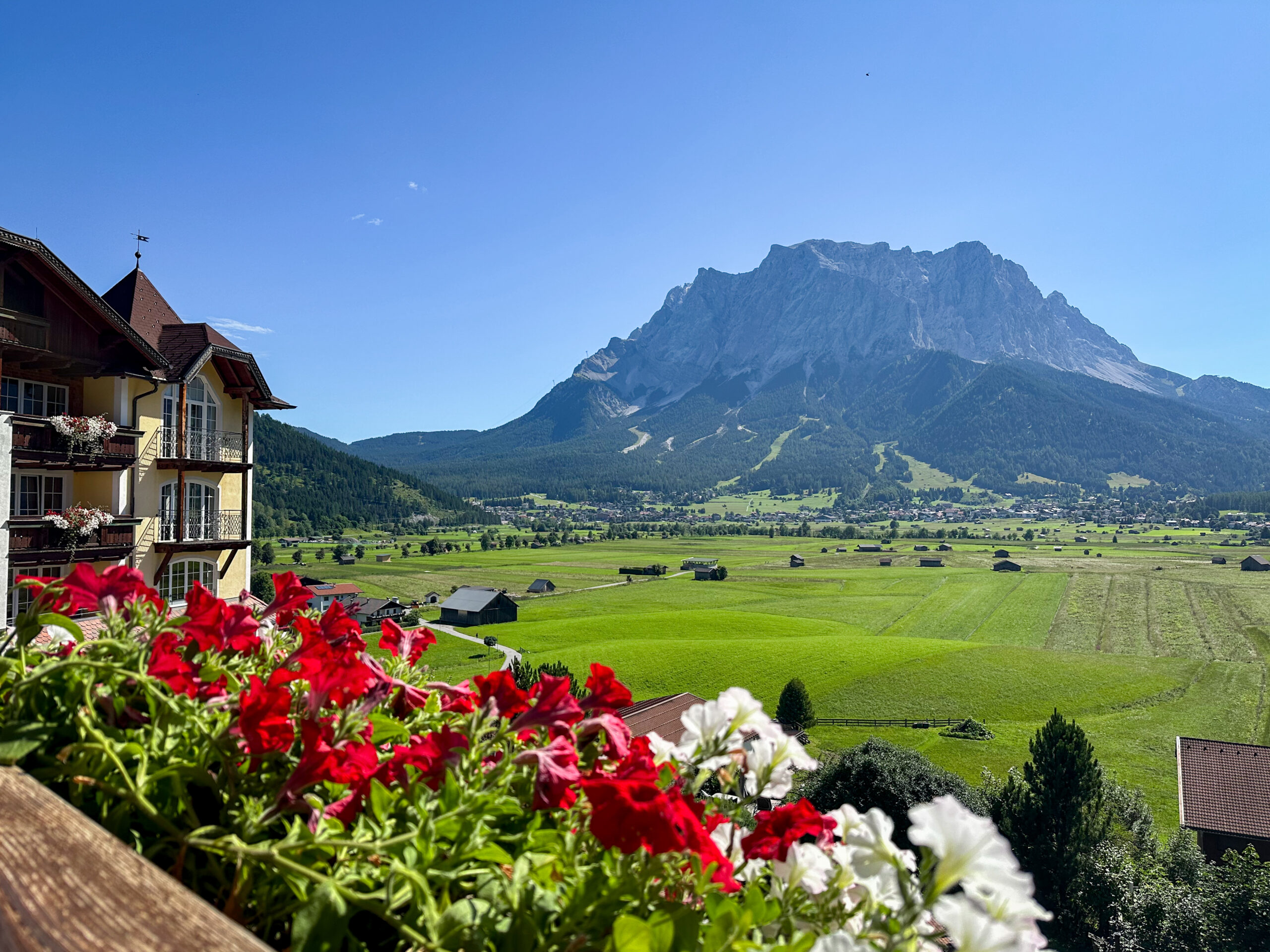 Rote und weiße Balkonblumen vor Blick auf Wiese und Berg